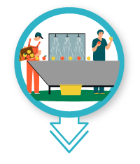 icons-agroalimentos2